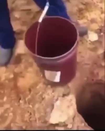 To save a kitten