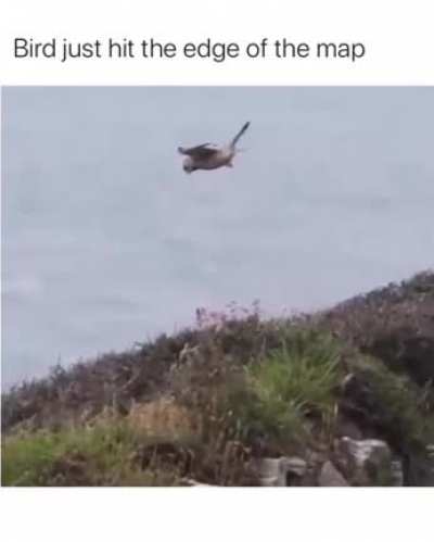 the end