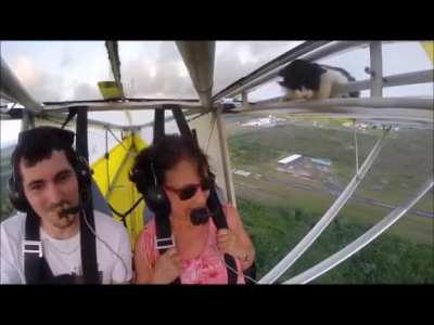This is how you fly for free