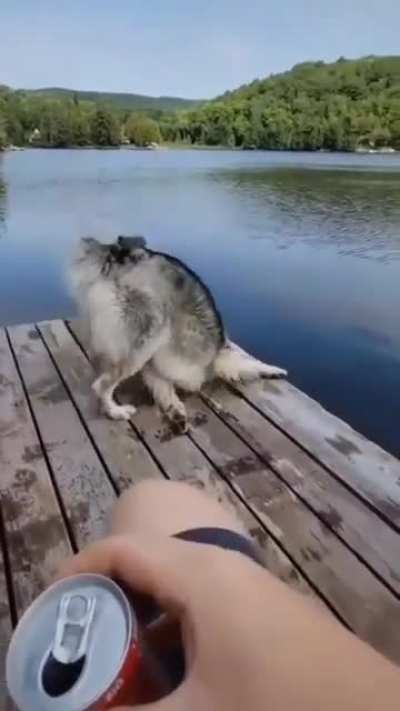 Dave, Dave look at me Dave! Hey Dave, where'd the jetty go???