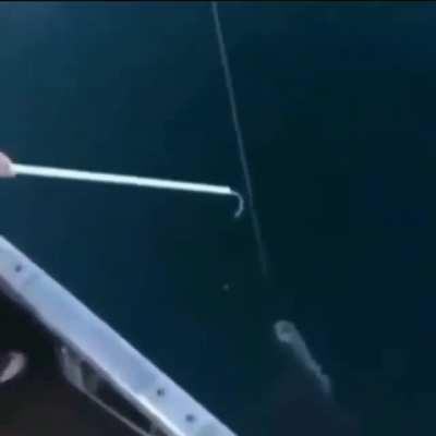 Good catch bro ??