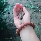 It doesn't want to be set free!