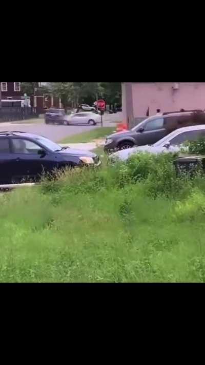 Play stupid games