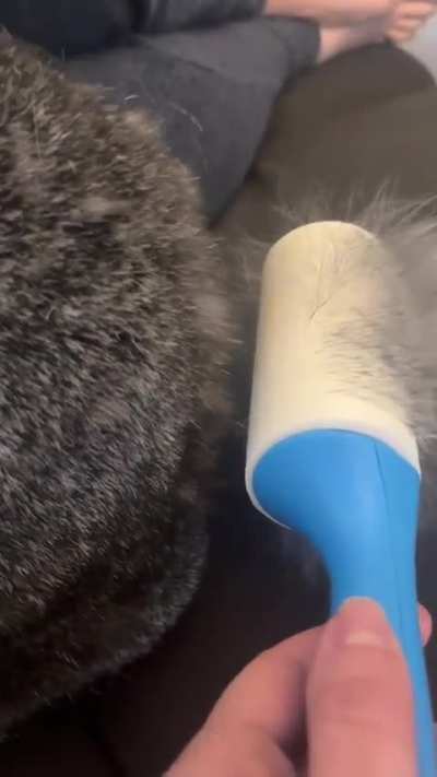 Lintrolling a rabbit