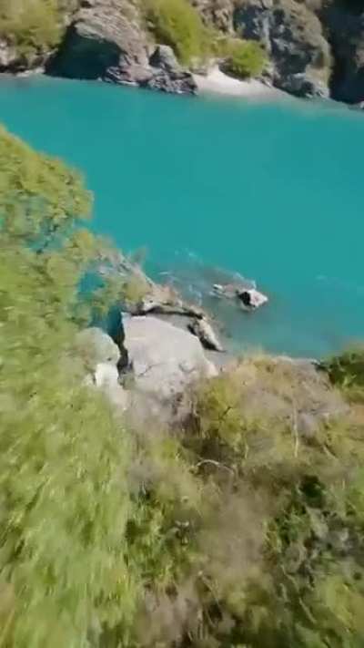 ?Drone shot of a river beside a forest