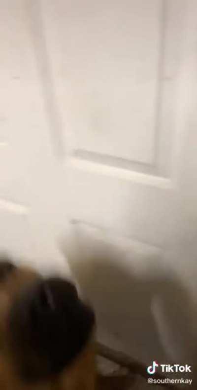 My Dad’s Favorite Tiktoks: pt 4 (wait til the end)