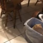 You good bro?