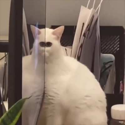 I see you