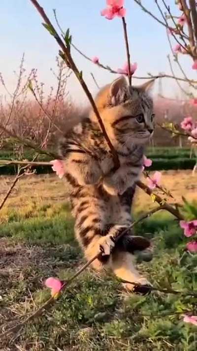 Awwwww