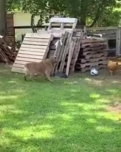 OMG ??