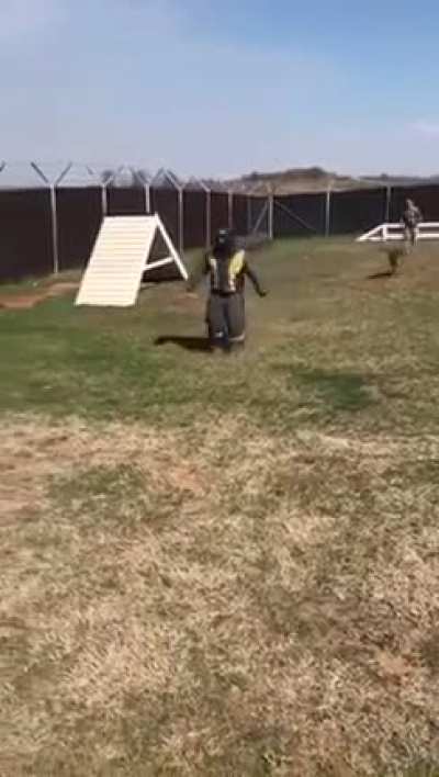 Bite decoy trips just as MWD launches for the kill