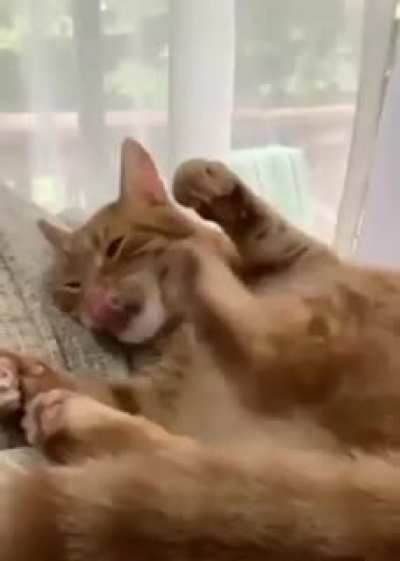 To clean her own paw!
