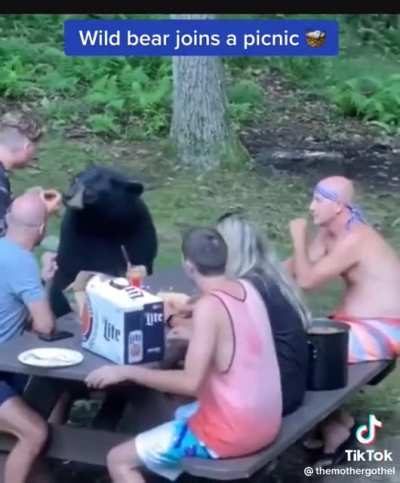 picnic time