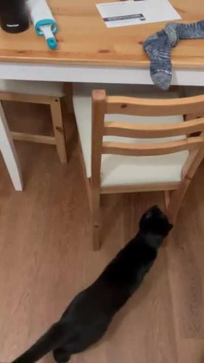 Socks are scary!