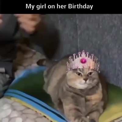 My daughter won't accept anything less ?