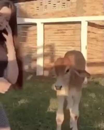 Check out those moooooves