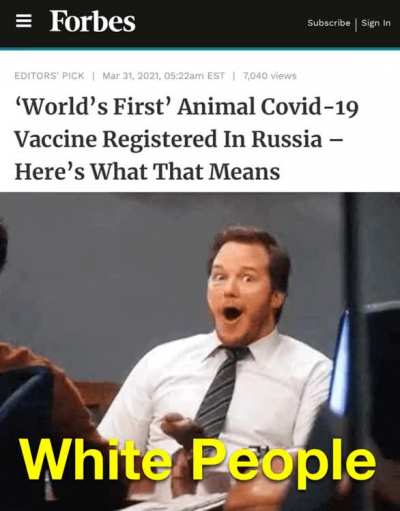 Pet friendly meme