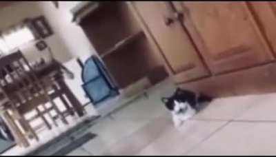 He lost half of his lives
