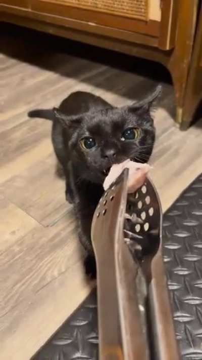The void: "Keep your filthy paws off MY chicken!"