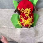 Cutest burrito you'll ever see!