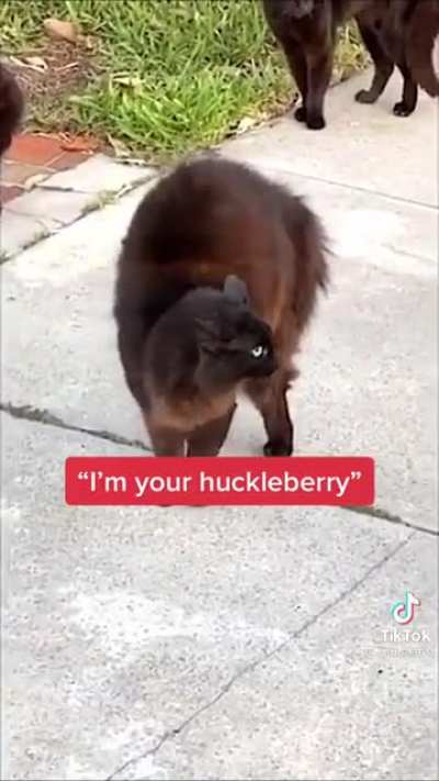 The Huckleberry