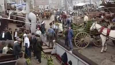 New York City 1900-1919 colorised ??