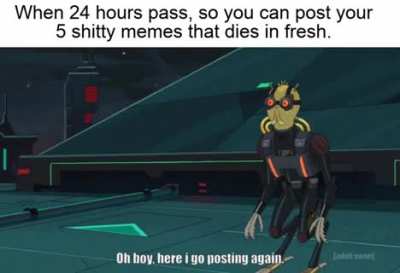 daily routine