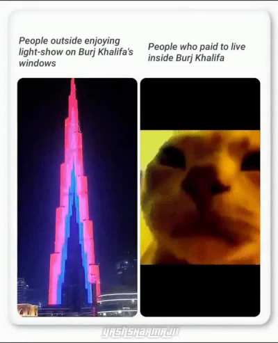 When your life is a circus!