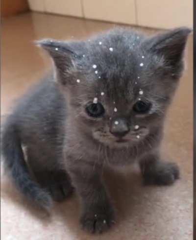 MILK