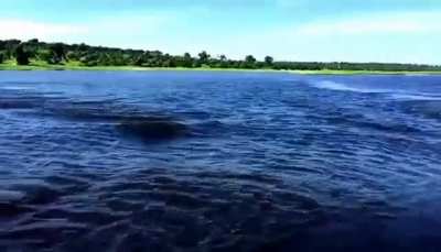 Being chased by a monster