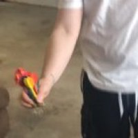 Now THATS talent
