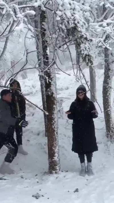 Maybe Maybe Maybe