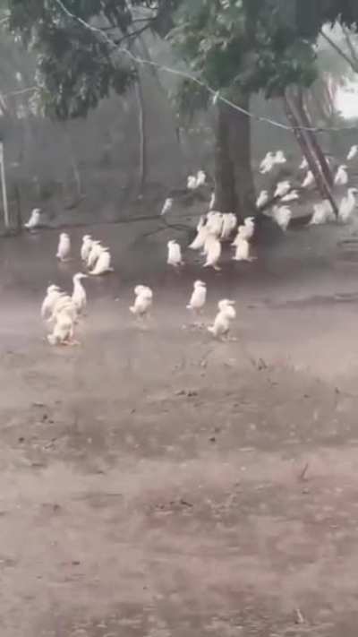 Any idea what's going on?