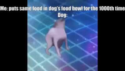First gif meme