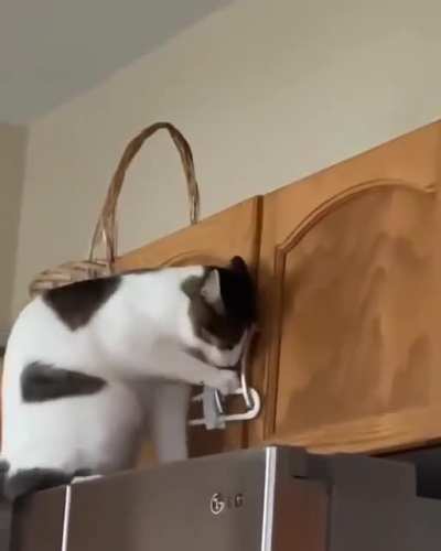 Mission impossible very impossible ???