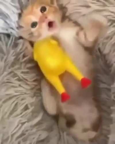 smol criminal with his toy!!