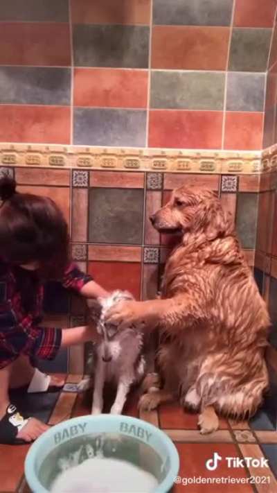 When your friend doesn't want to bathe ???