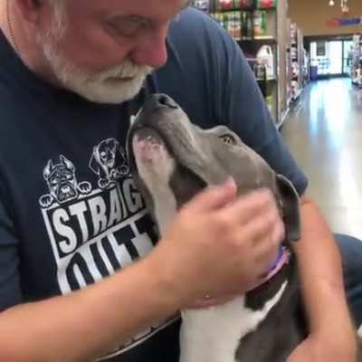 The "just adopted" look that Walter the pup has