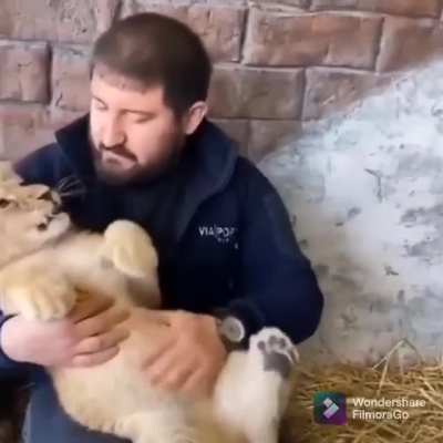 "What about me?"