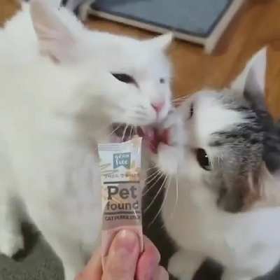 awwwbrupt chaos