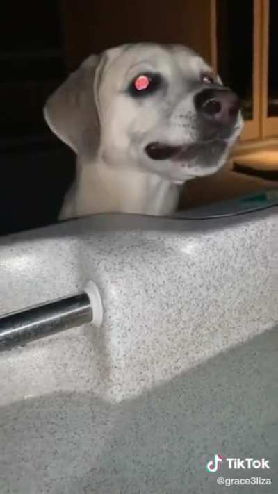DON'T YOU - *plop*