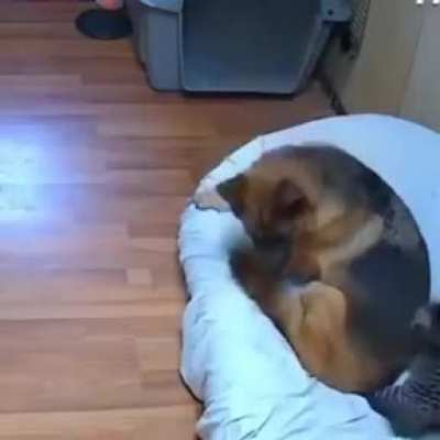 Mom! He sat on me!