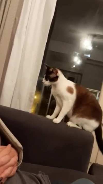 Boo!