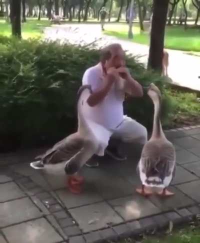"how can he speak our language?!"