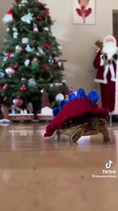 Tortoise Sweaters