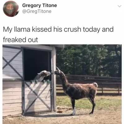 Looks like true love. ?