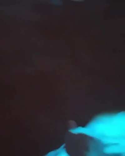 ? Bioluminescent plankton
