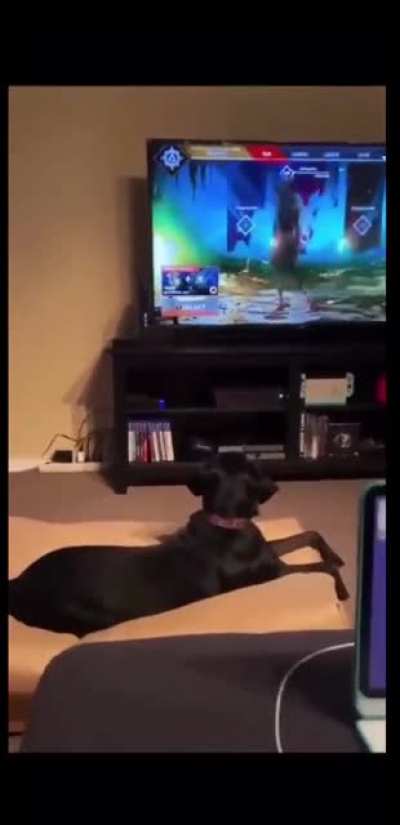 Poor doggo ?