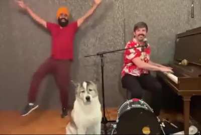 The dog is the best ?