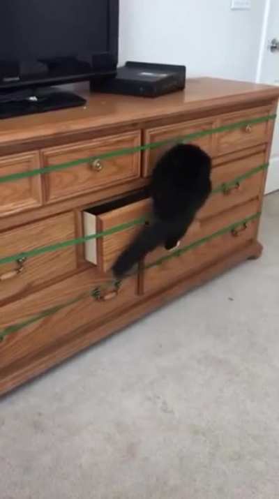 nice try hooman